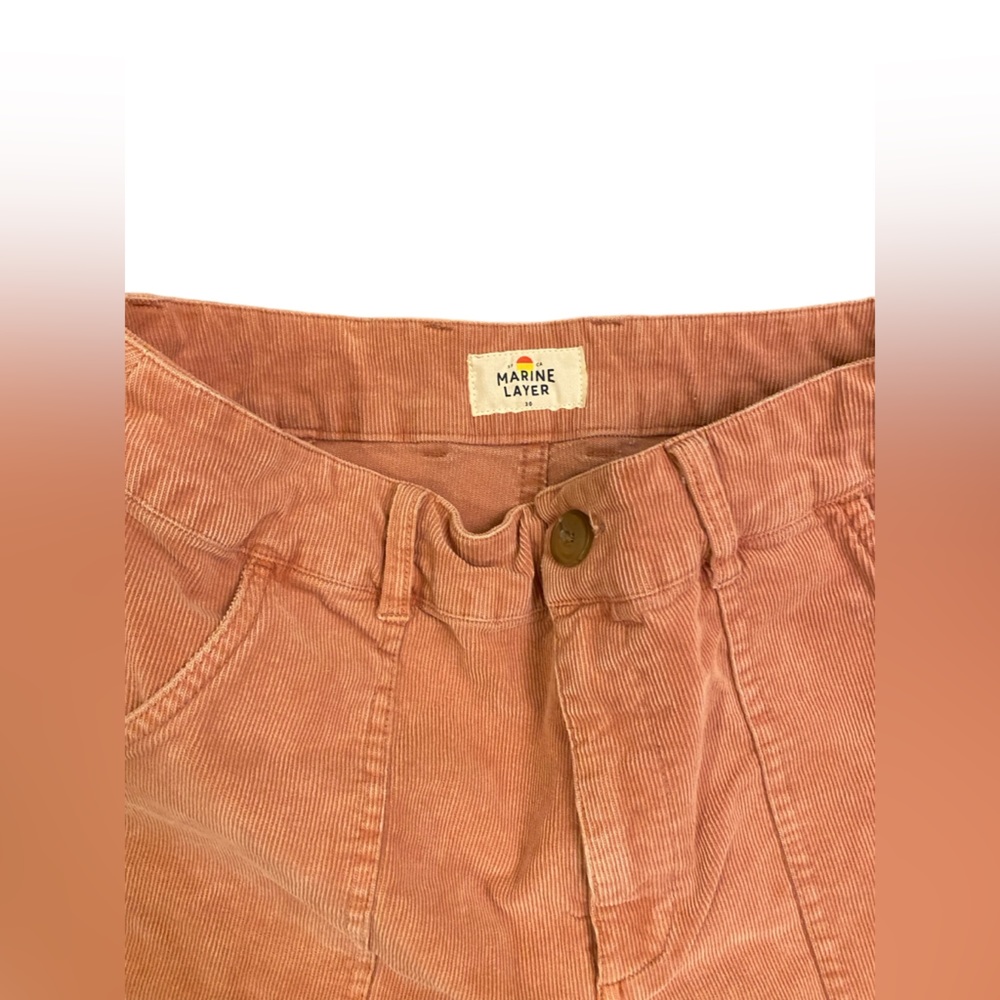 Marine Layer Corduroy Surf Short In Baked Clay View 6